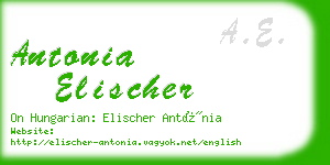 antonia elischer business card